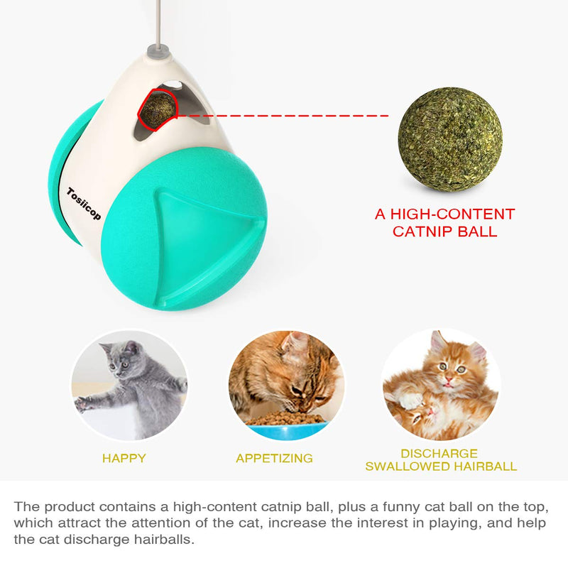 Interactive Cat Toys with Catnip Ball 2 Pack Pet balance swing car Balanced Cat Toy for Indoor Cats Rotating Rolling Balls for Cat/Kitten Pet Entertainment Hunting Exercise - PawsPlanet Australia