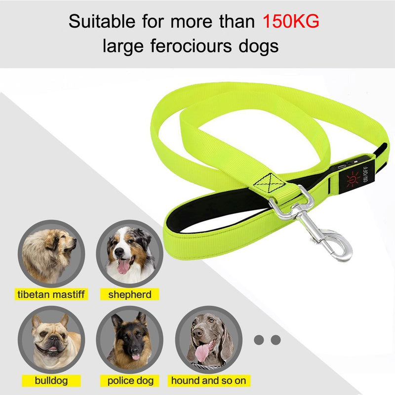 [Australia] - HiGuard LED Dog Leash - USB Rechargeable 4ft/120cm Long Nylon Webbing Pet Safety Leash - 3 Flashing Modes Light Up Perfect for Night Walking Neon Green 