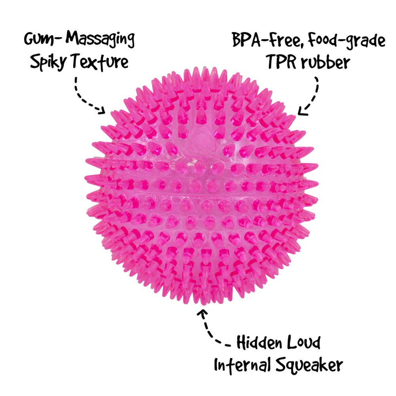 [Australia] - Gnawsome 4.5” Spiky Squeaker Ball Dog Toy - Extra Large, Cleans Teeth and Promotes Good Dental and Gum Health for Your Pet, Colors will vary 