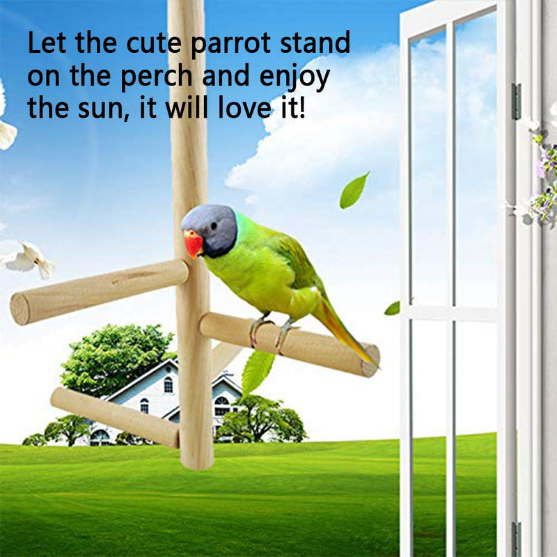 Hamiledyi Parakeet Perch,Bird Natural Wood Stand,Parrot Cage Top Wooden Branches for Standing,Toys for Small Medium Parrots Conure Budgie Lovebirds Style-A - PawsPlanet Australia
