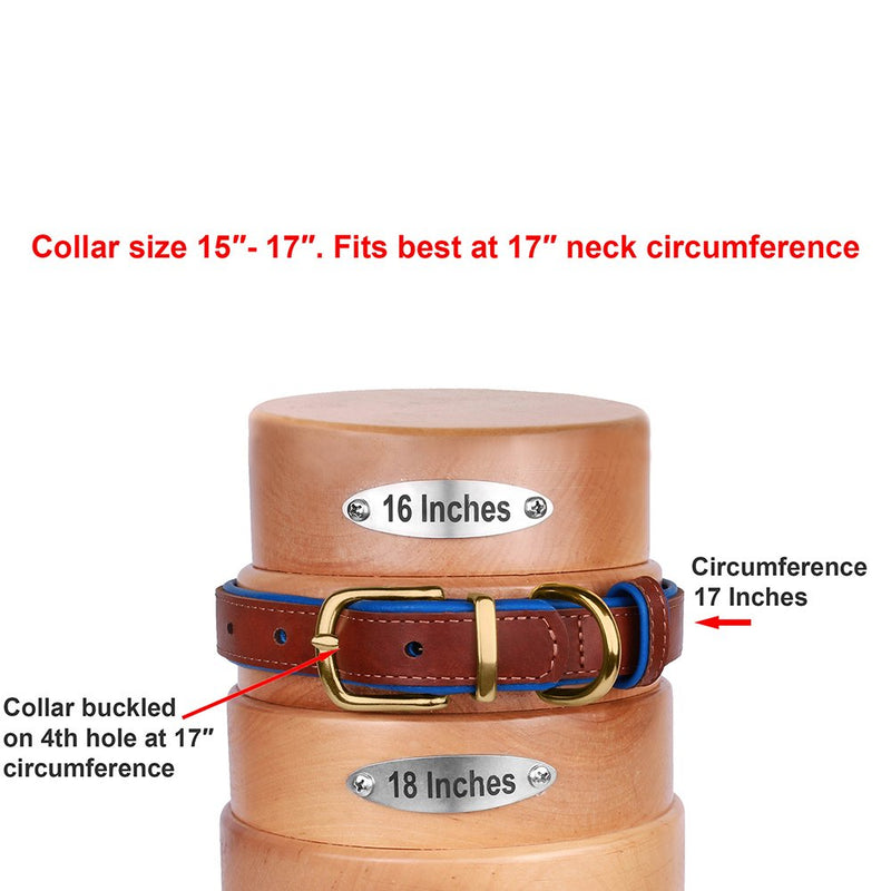 [Australia] - CollarDirect Leather Dog Collar Brass Buckle Soft Padded Puppy Small Medium Large Red Pink Blue Green Orange Purple Yellow Neck Fit 15"-17" 