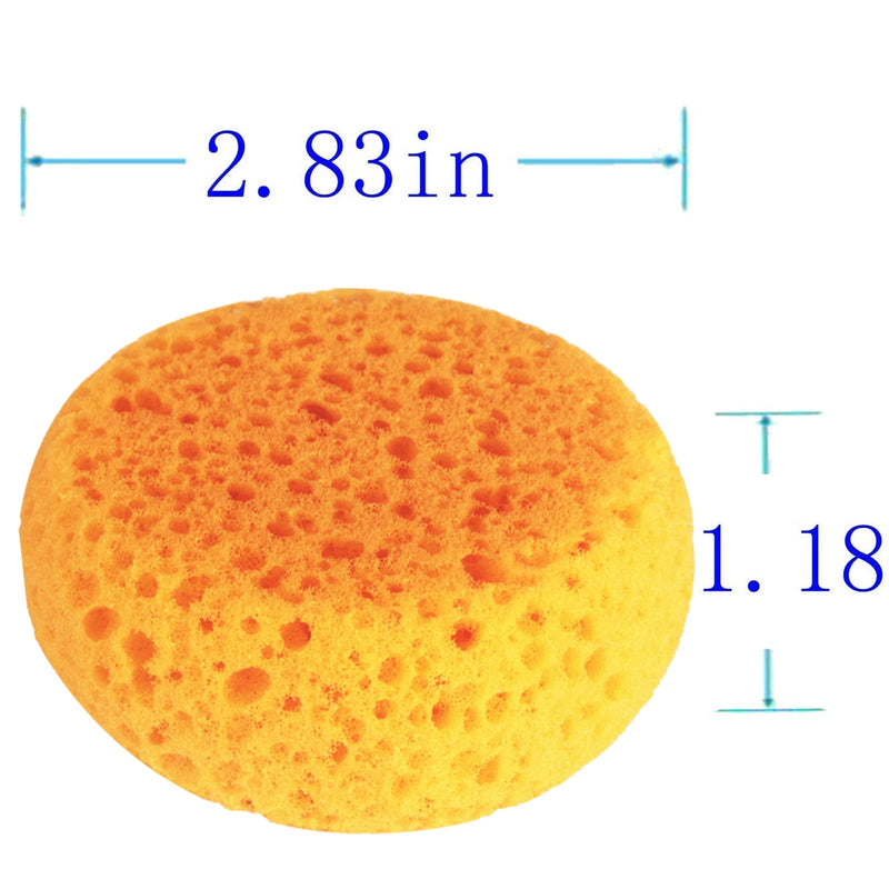 XILAOTOU Tack Sponges, High Elasticity Saddle soap for Leather, high Water Absorption Saddle soap Diameter 2.83, height1.18IN, Suitable for Crafts, Ceramics, Household Use & More 12 PCS Coarse hole 12 Pcs Yellow - PawsPlanet Australia