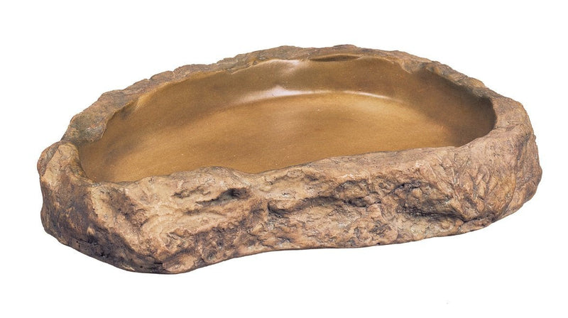 Exo Terra Feeding Dish, Medium - PawsPlanet Australia
