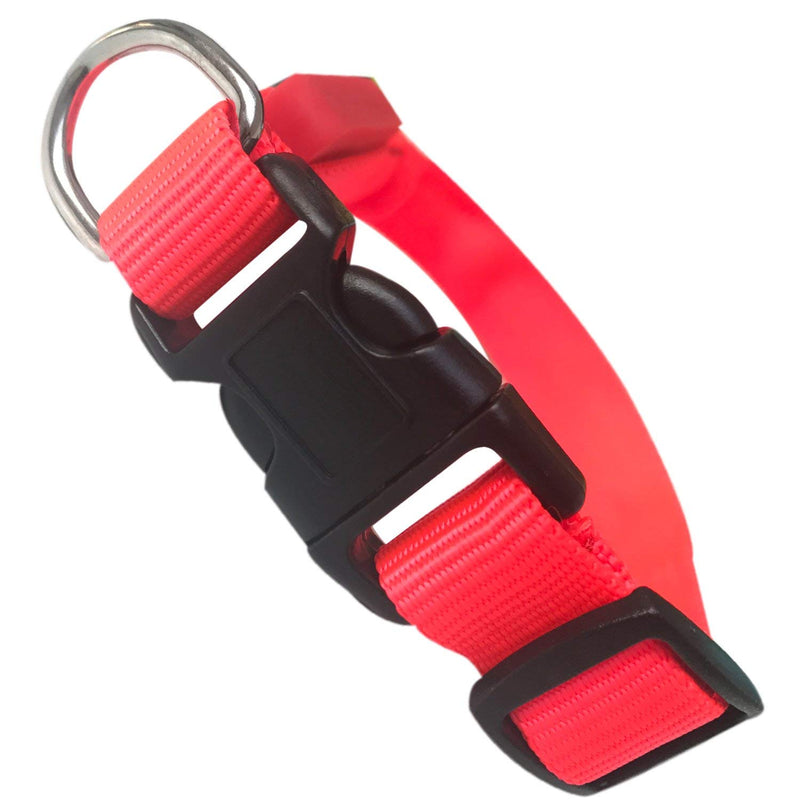 EXPERSOL LED Dog Collar Super Bright Battery Operated Increased Visibility and Safety 4 Colours (Red X-Small) - PawsPlanet Australia