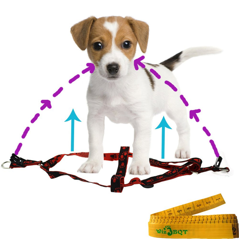 [Australia] - Wiz BBQT Pink and Purple Adjustable Breakaway Dog Cat Pet Harness and Leash Set with Footprint for Dogs Cats Pets in Spring Summer Autumn Medium 