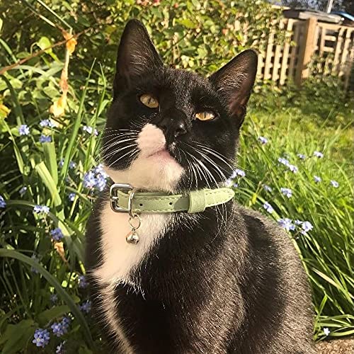 Animal Outfitters UK Purrfect Pastel Collection Faux Leather | Breakaway | Adjustable | Cat Collar | Kitten Collar (Mint Silver Bell) Cat collar with bell | Quick Release | Green Mint - PawsPlanet Australia