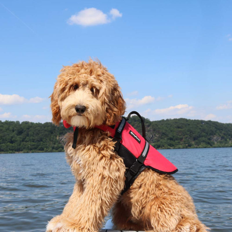[Australia] - ZippyPaws - Adventure Life Jacket for Dogs - Red - 1 Life Jacket Medium 