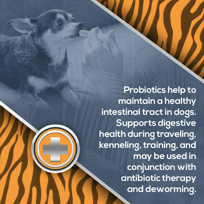 [Australia] - Jungle Pet Probiotic Paste for Dogs - 30cc - Digestive Support - Daily Use - Traveling, Kenneling, Training 