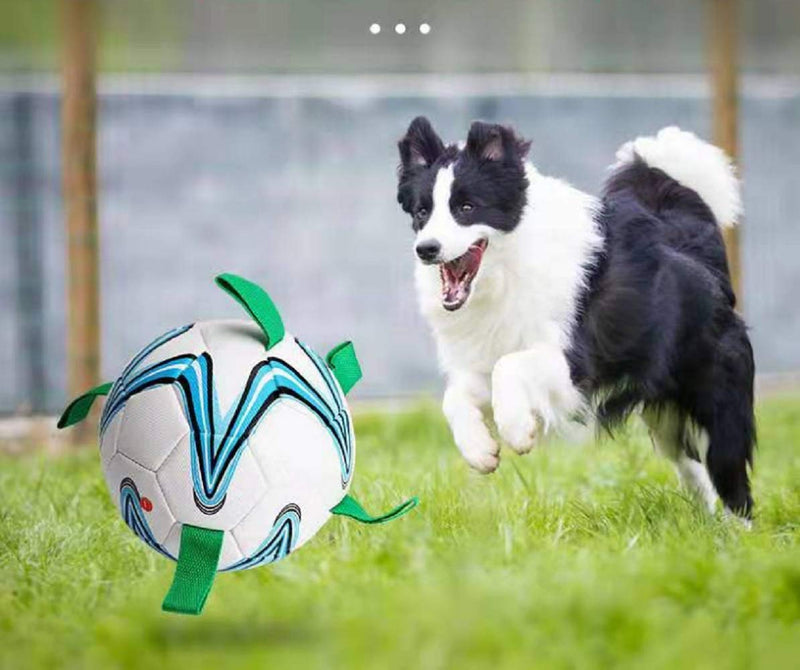 Dog Soccer Ball Interactive Dog Toy Dog Balls with Easy Grab Tabs 7.5 Inch in Diameter(Pump Included) - PawsPlanet Australia