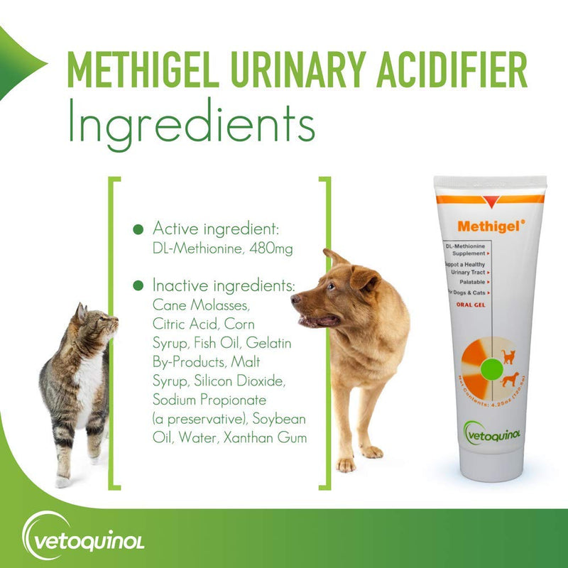 Vetoquinol Methigel Urinary Acidifier to Promote Urinary and Bladder Health for Dogs & Cats 4.25 Ounce (Pack of 2) - PawsPlanet Australia