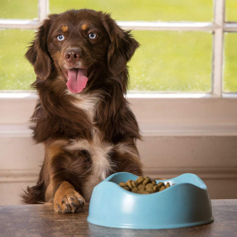 [Australia] - The Eco-Friendly Pet Bowl - Small Pink 