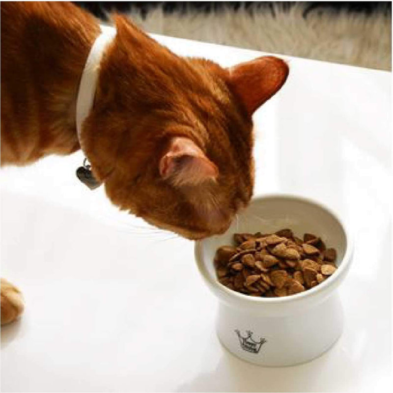 [Australia] - Necoichi Raised Cat Food Bowl, Stress Free, Backflow Prevention, Dishwasher and Microwave Safe, Made to EC & ECC European Standard Cupcake 