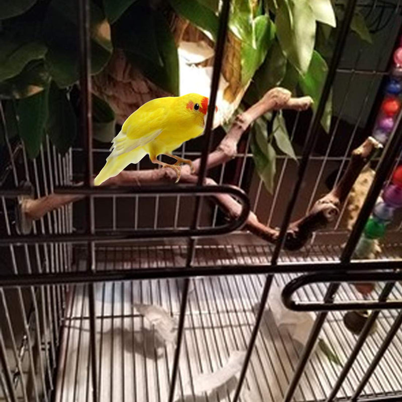 PINVNBY Bird Perch Stand,Parrot Perches,Natural Birdcages Standing Climbing Paw Grinding Wood Branch Stick Cage Accessories Toys for Parakeet Lovebirds Budgies Cockatiels Finches Types-A - PawsPlanet Australia