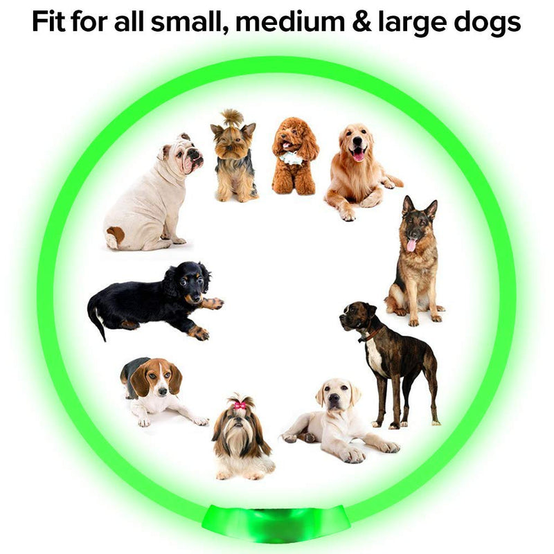 [Australia] - USB Rechargeable LED Dog Collar - Glowing Pet Collar for Dogs, Light Up Doggy Collars Keep Your Dogs Be Seen& Be Safe Adjustable Size Flashing Collars Green 