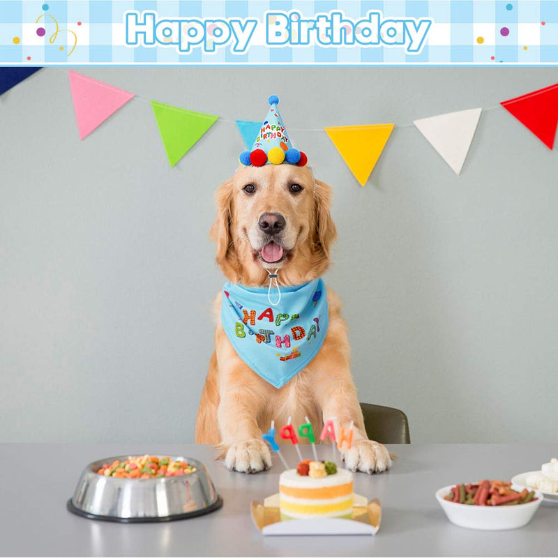 Dog Birthday Boy Bandana, Cute Hat, Ink Pad for Dog Paw Prints - Touch Ink Pad and Imprint Cards, Party Supplies - PawsPlanet Australia