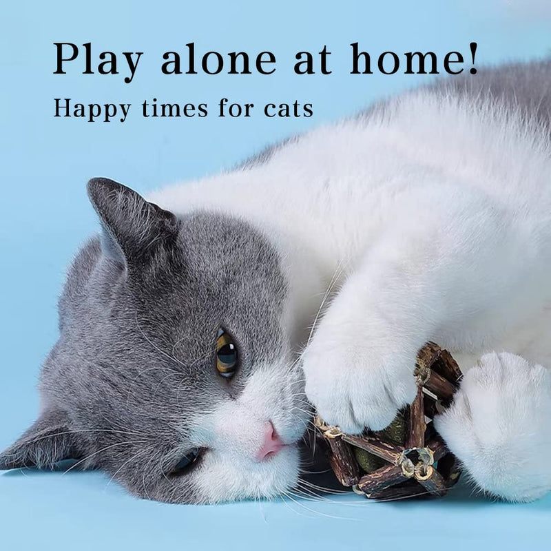 SAINOOM Catnip Toy for Indoor CatToy Balls-2pcs Cat chew Toy Teeth Cleaning Health Natural Silver Vine Sticks Catnip Bell Ball Cat Toy - PawsPlanet Australia