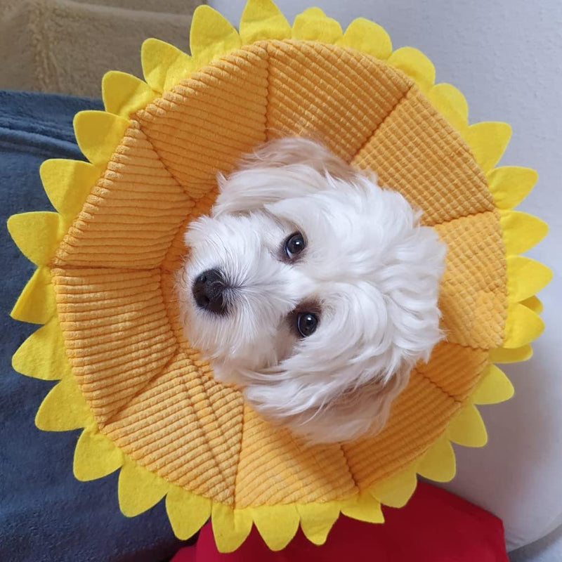 Protective Collar Pet Recovery E Collar Cotton Sunflower Collar Neck Cone Cone Collar Pet Protective Collar for Dogs and Cats 26-29cm - PawsPlanet Australia