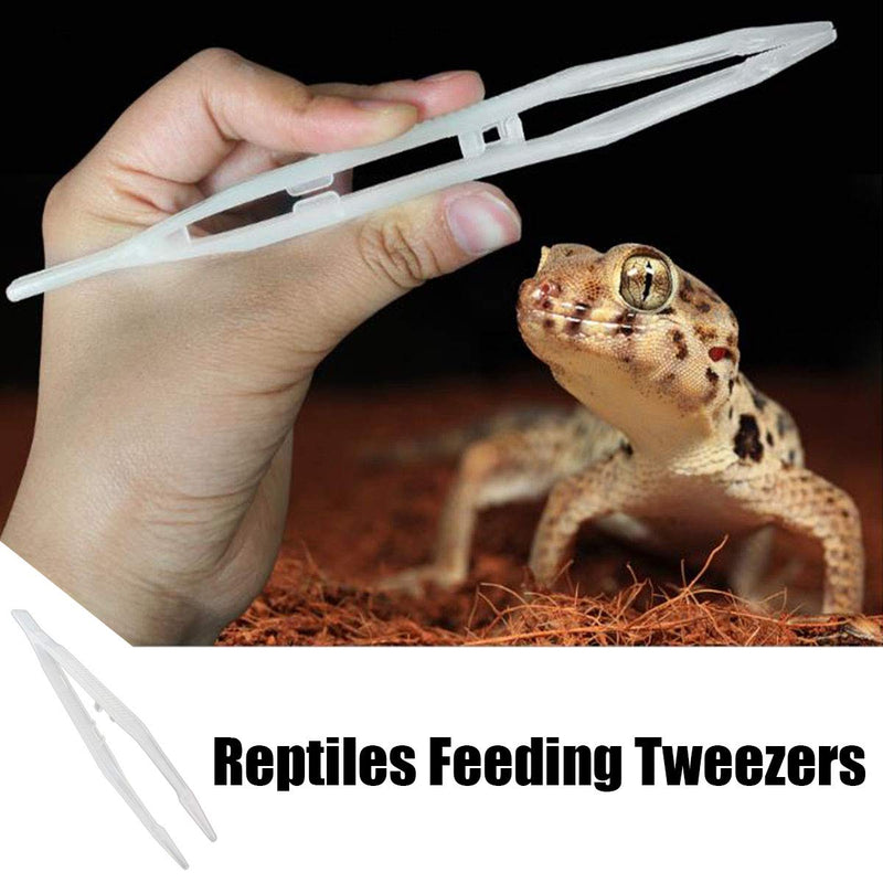 NA 2 Pcs Reptiles Feeding Tweezers Plastic Noctilucence Tweezers for Iguanas Bearded Dragons Lizards Geckos Turtles Corals 18CM - PawsPlanet Australia