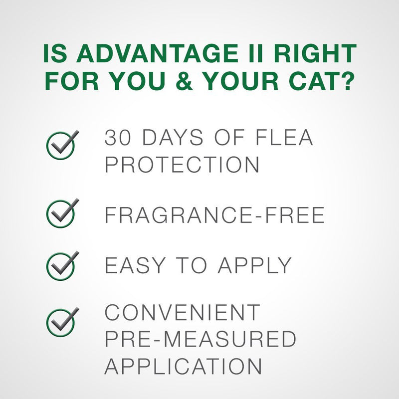[Australia] - Bayer Advantage II Flea Prevention for Large Cats, Over 9 lbs 6 doses Over 9 lb 