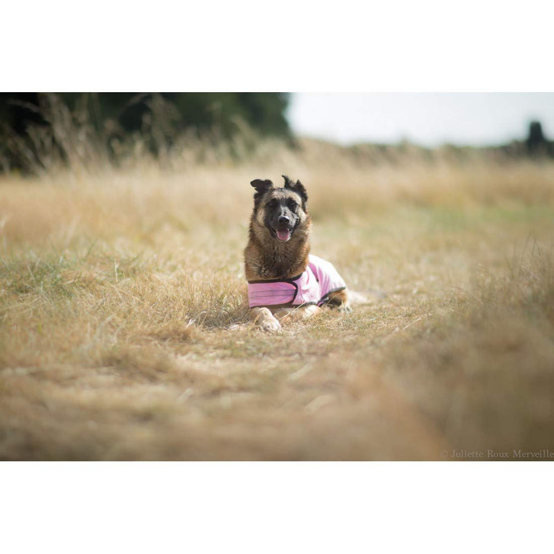 Dog Coat - Cooling Clothing - Dog Coat - Cooling Coat - Size S - Colour: Pink - Chamois Leather Texture - PawsPlanet Australia