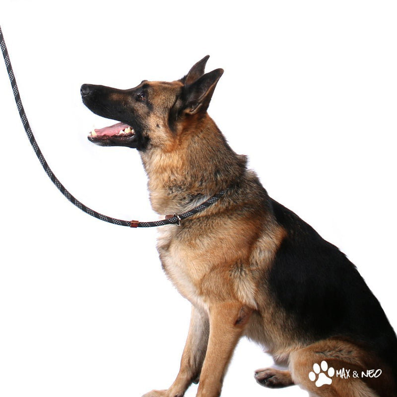 [Australia] - Max and Neo Rope Slip Lead Reflective 5 Foot - We Donate a Leash to a Dog Rescue for Every Leash Sold 5 FT x 1/2" BLACK 