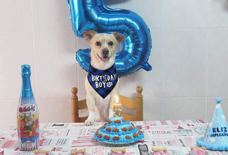 [Australia] - JPB Dog Birthday Boy Bandana 