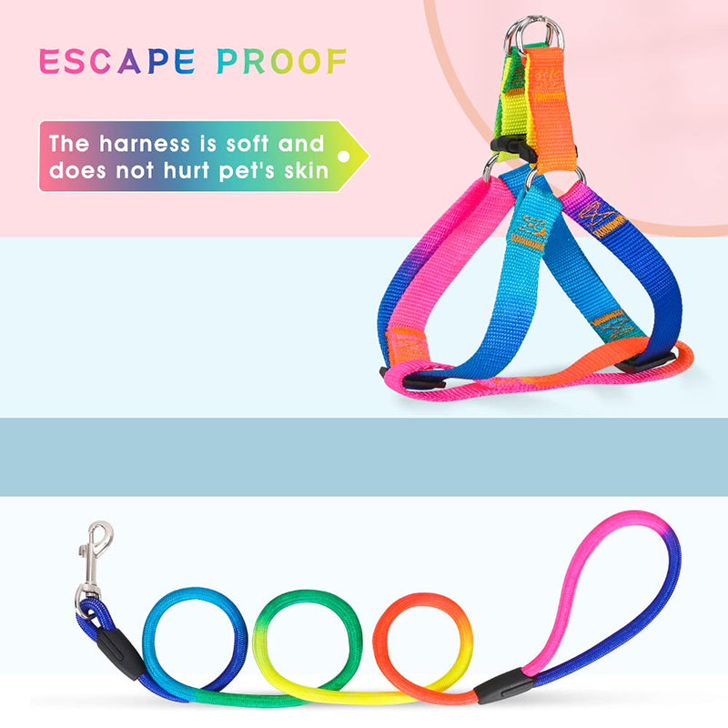 Classycoo Dog Harness Leash Set,Adjustable Heavy Duty Walking Harnesses Leash with Padded Handle in Puppy Basic Harness for Small Medium Large Dogs-Rainbow Rainbow - PawsPlanet Australia