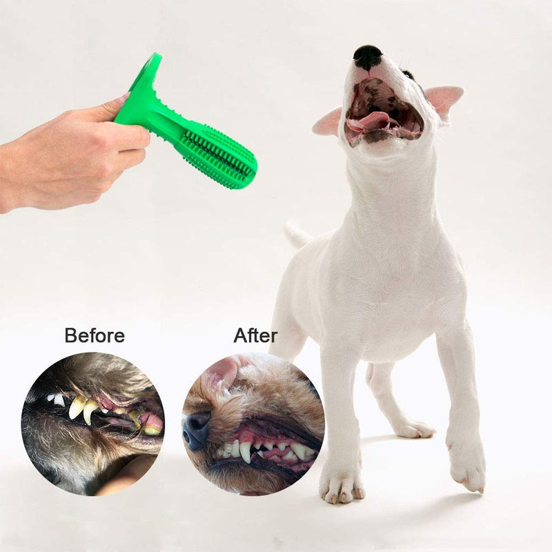 Bogeer Dog Toothbrush, Dog Chew Toys, Indestructible Dog Toys for Puppies & Adult Dog, Natural Dog Dental Chews - New Dog Teeth Cleaning Toys - PawsPlanet Australia