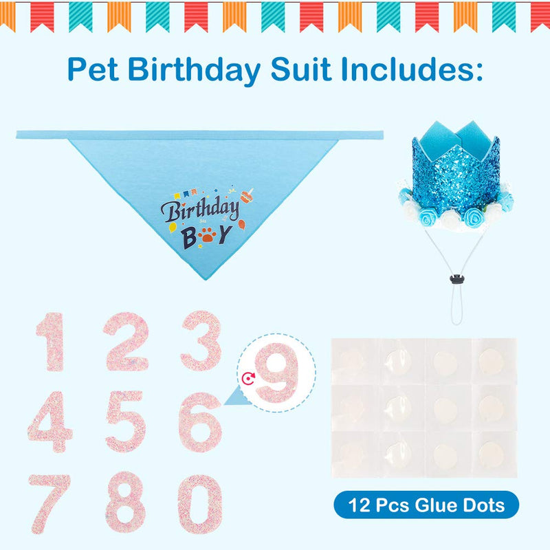 Dog Birthday Bandana & Hat Set - Adjustable Hat with Numbers Triangle Dog Scarf Cute Party Supplies Decorations, for Medium Small Dogs Cats and Puppy Bandana & Hat & Numbers - PawsPlanet Australia