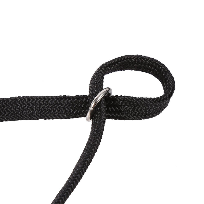 ViaGasaFamido Pet Grooming Loops, Professional Dog Grooming Noose Dog Restraint Noose Cat Adjustable Restraint Rope Harness for Pet Grooming Table Bathtub(L) L - PawsPlanet Australia