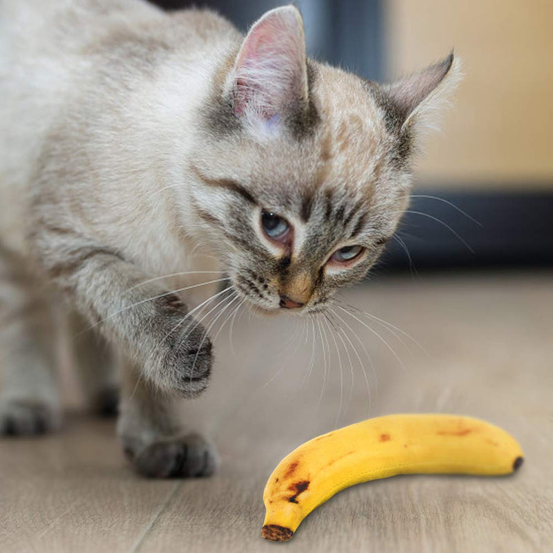 [Australia] - HEQUSigns 4 Pcs Catnip Cat Toys Banana Catnip Cat Toys Banana Interactive Simulation Toys for Cat Playing Teeth Grinding Chew Toys 