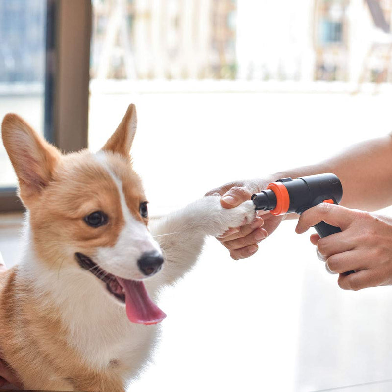 PESTON Dog Nail Grinder - Professional Electric Pet Nail Trimmer for Large Medium Small Dogs & Cats - Painless Paws Grooming, Smoothing, Trimming Tool - Rechargeable & Clippers Quiet (3-Speed) - PawsPlanet Australia