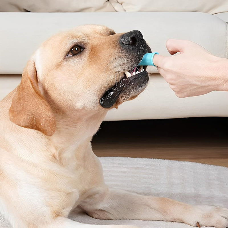 JSKWIKE Pack of 4 dog toothbrushes, silicone dog toothbrush, finger cots, dog dental care, dog toothbrush with storage box, finger toothbrush, dog toothbrush for small, medium and large dogs - PawsPlanet Australia