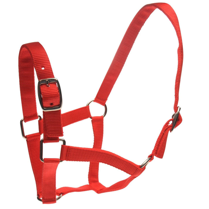 Roma Headcollar and Lead Set - Black Full - PawsPlanet Australia