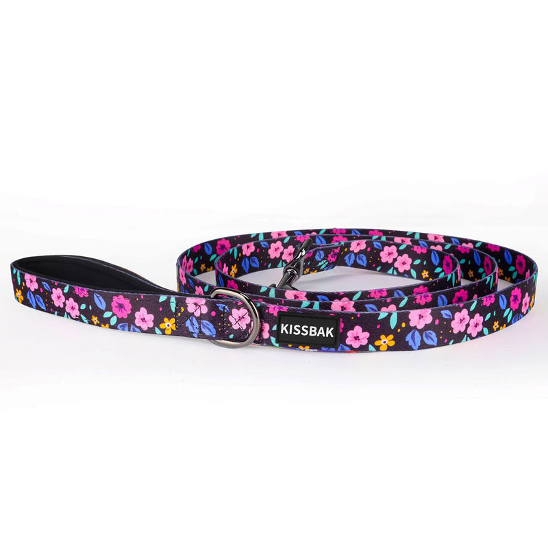 KISSBAK Dog Leash for Small-Medium-Large Dogs - Comfortable Padded Handles,Premium Floral Sunflower Dog Training Leash,Walking Lead for Dogs (Floral, Large (1 Inch x 6 Feet)) Large (1 Inch x 6 Feet) - PawsPlanet Australia