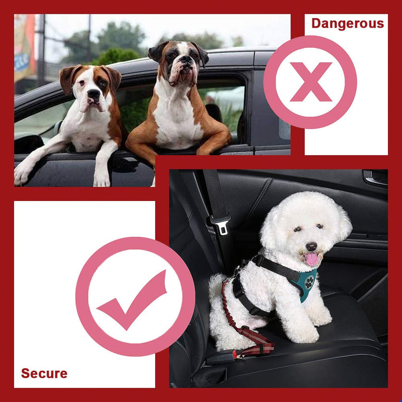 Nasjac Double Dog Seatbelt, Dual Pet Car Seat with Elastic Bungee and Reflective Stripe No Tangle Safety Belt Adjustable Dog Coupler Lead Splitter in Vehicle Red - PawsPlanet Australia