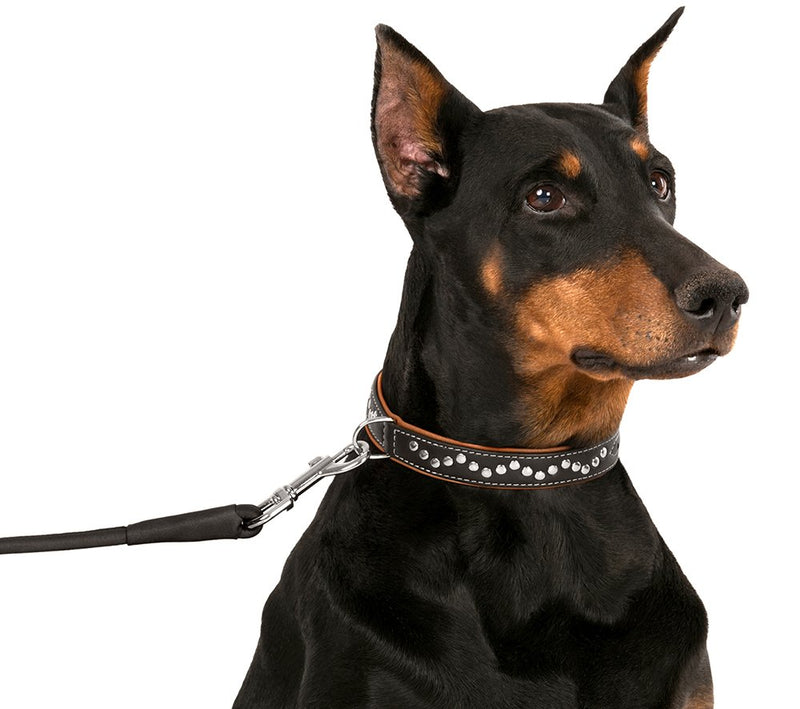 [Australia] - CollarDirect Studded Dog Collar Leather Pet Collars for Dogs Small Medium Large Puppy Soft Padded Brown Black Neck fit 13" - 14" 