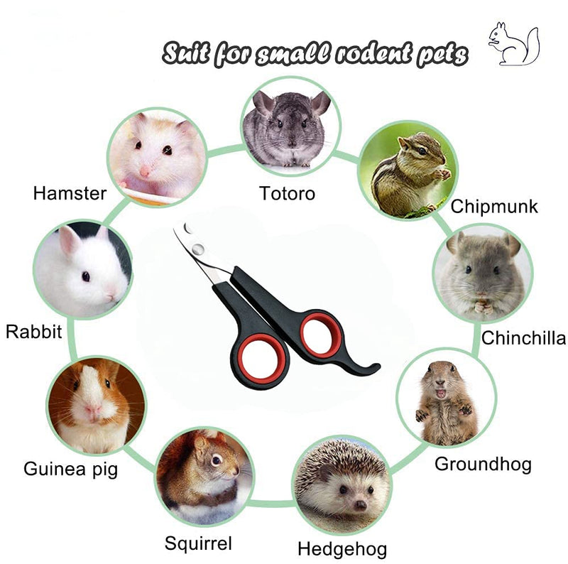 Rabbit Nail Clippers - Professional Pet Nail Clippers Stainless Steel Claw Trimmer Scissors for Small Animal Rabbit Guinea Pig Puppy Ferret Hamsters Chinchilla Sugar Glider Grooming Supplies Black - PawsPlanet Australia