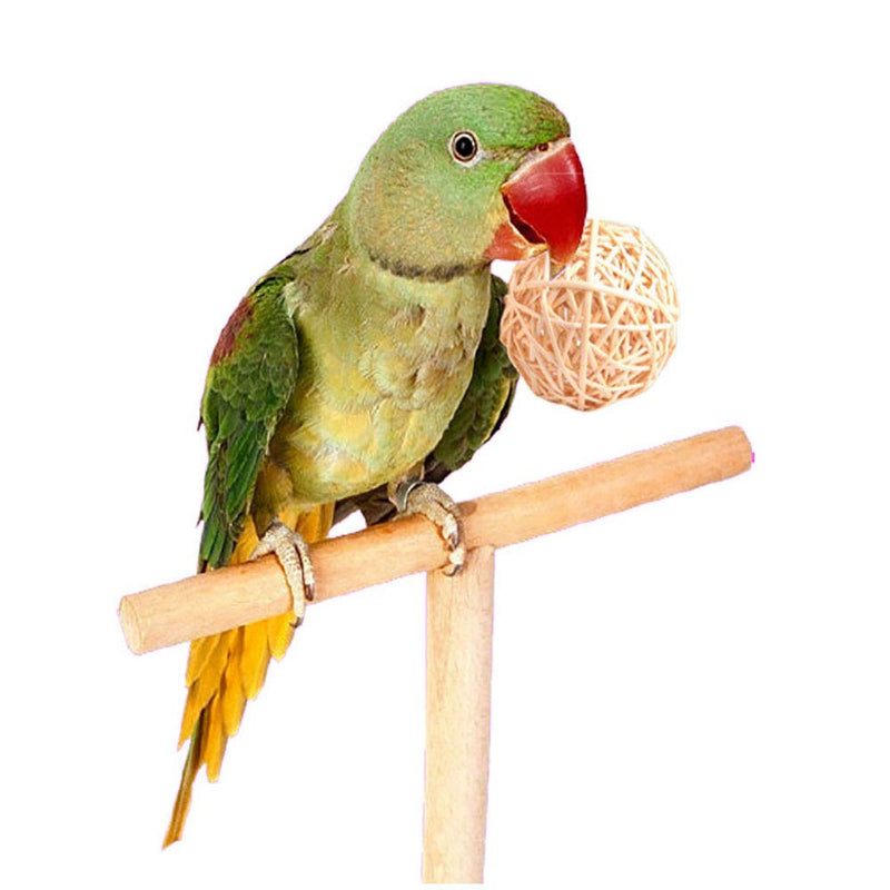 [Australia] - Tfwadmx 10 Pcs Willow Ball, Bird Foraging Toys, Small Animal Chew Toy Activity for Parrot Macaw Hamster Guinea Pig Rat Parakeet Cockatiels Conure Finch Budgerigar Lovebird 
