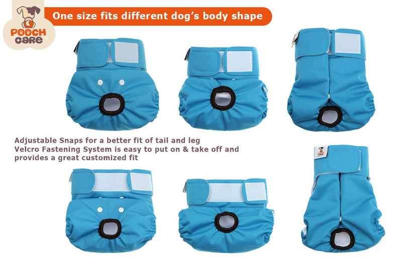 POOCH CARE Washable Female Dog Diapers, Reusable Diapers for Doggies in Heat, 3 Pack Large (20.5"-27" Waistline) Bright Day - PawsPlanet Australia