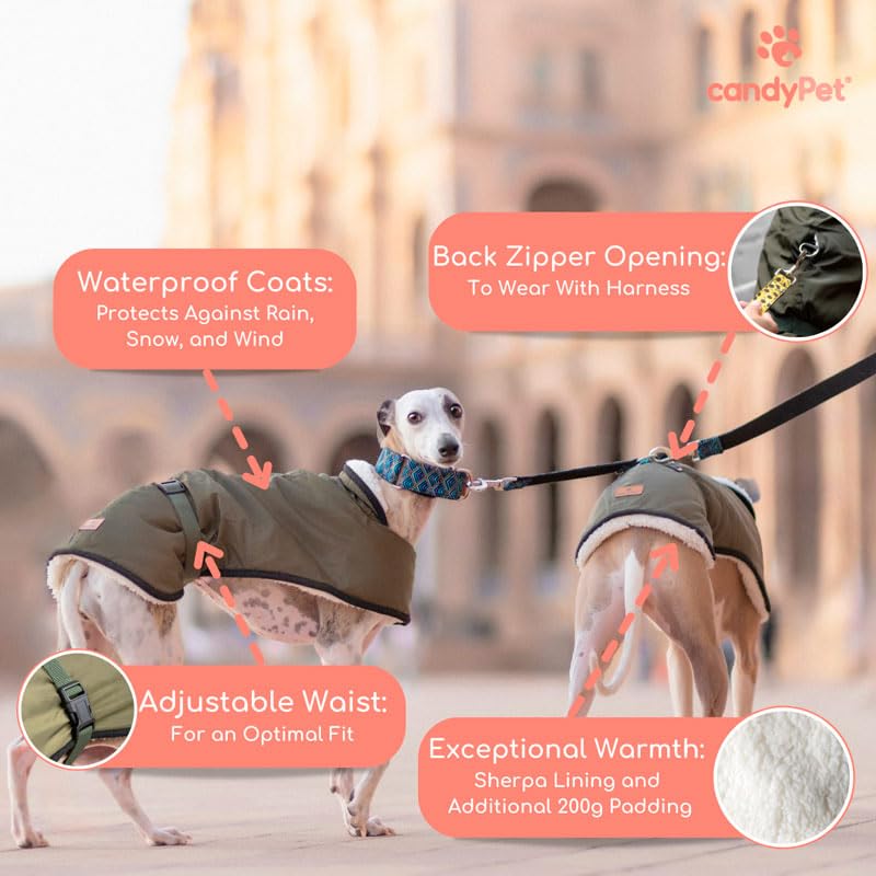 Waterproof Coat for Whippets: Style, Cold and Rain Protection - Sherpa Lining, Thermal Insulation, Harness Hole - Ideal for Whippets and Italian Greyhounds (Small, Khaki) Small - PawsPlanet Australia