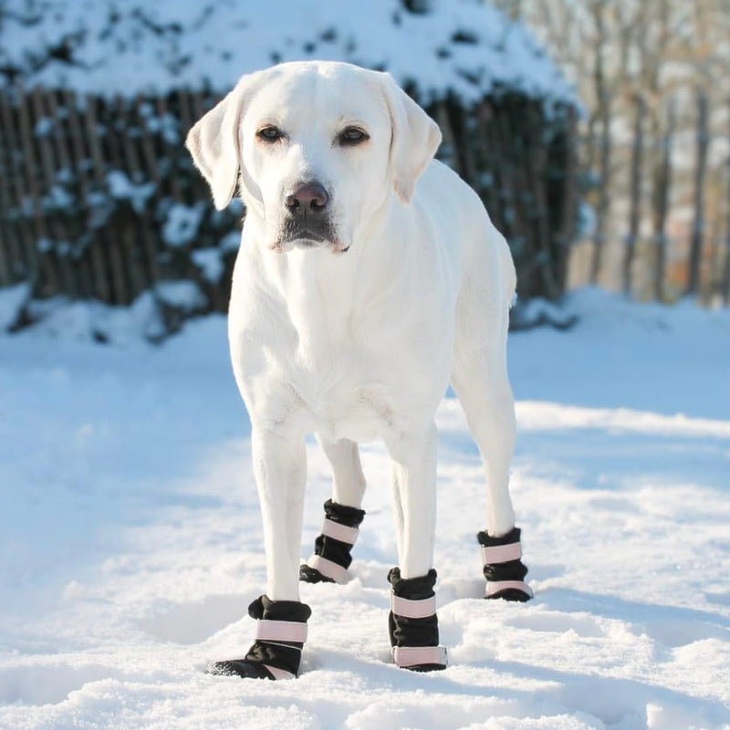 Spark Paws Flex Shell Water-Resistant Dog Boots - Paw Protection for All Seasons - Water Resistance, Durable Sole and Reflective Straps - Black - D - PawsPlanet Australia