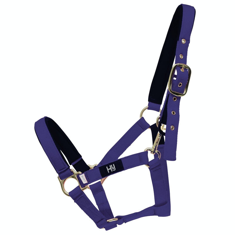Hy Fieldsafe Headcollar - Black - Full - Horse Equestrian Halters & Headcollars - PawsPlanet Australia