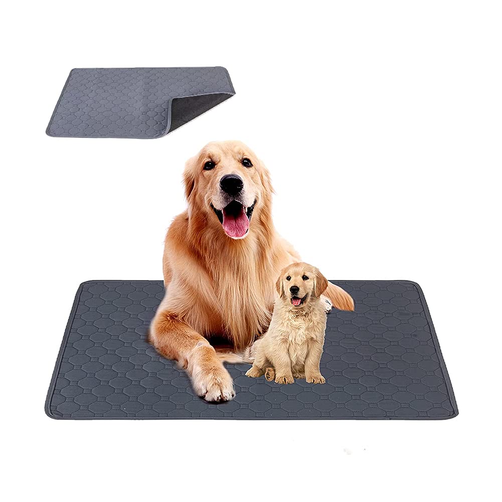KALINCO Pet Training Pads Waterproof Pee Pads Dog Mat Floor Protection Washable Reusable Quick Absorbing Pad for Puppies/Dogs/Cats (Gray+M) Gray+m - PawsPlanet Australia