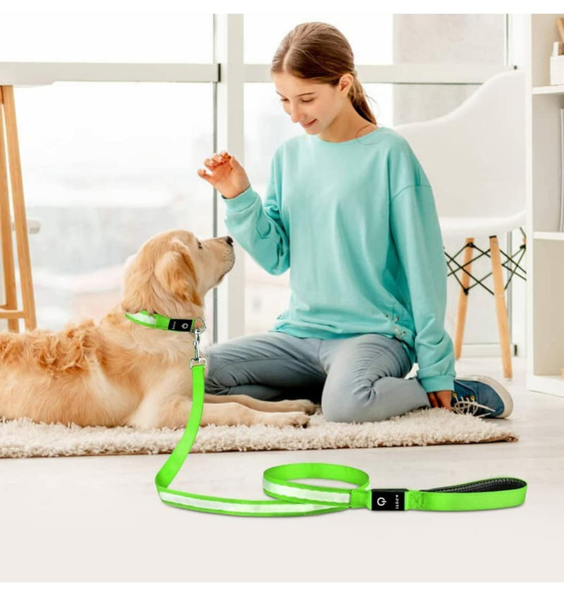 (Shared Products ) LED Dog Leash, Light Up Dog Leash, Micro USB Rechargeable, Waterproof, Nylon Webbing, Glow Safety Standard Dog Leash (Green with 2 Reflective Wires) - PawsPlanet Australia