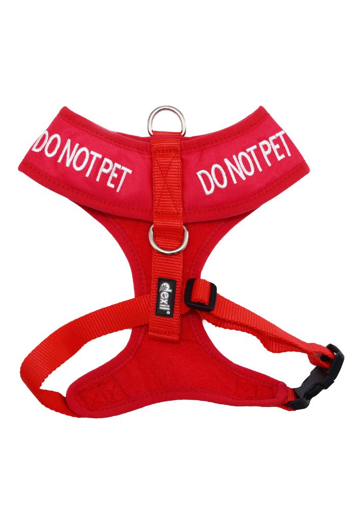 [Australia] - Dexil Limited DO NOT PET Red Color Coded Non-Pull Front and Back D Ring Padded and Waterproof Vest Dog Harness Prevents Accidents by Warning Others of Your Dog in Advance Medium Harness 19-28inch Chest 