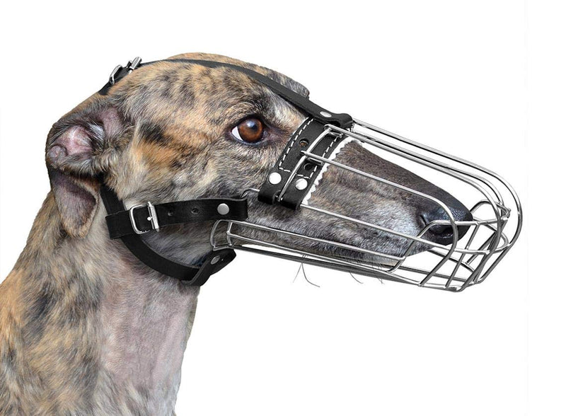 Metal Wire Basket Dog Muzzle for Collie Greyhound and similar dogs (3D, Black/black) 3D Black / black - PawsPlanet Australia