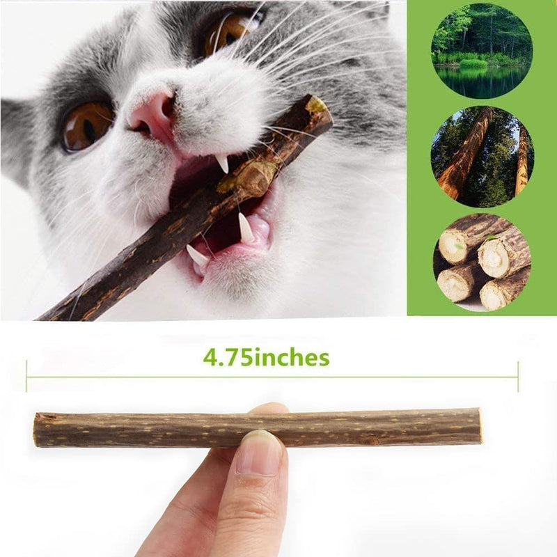 Pack of 30 catnip sticks, Matatabi cat chewing sticks, Matatabi chewing sticks as cat toys, catnip sticks for grinding teeth, Matatabi dental care - PawsPlanet Australia