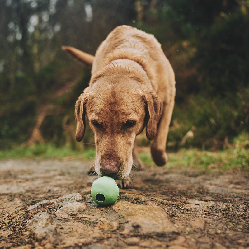 Beco Dog Ball - Eco Friendly Natural Rubber Hollow Chew Toy for Dogs - Extra Strong - Medium - Green - PawsPlanet Australia