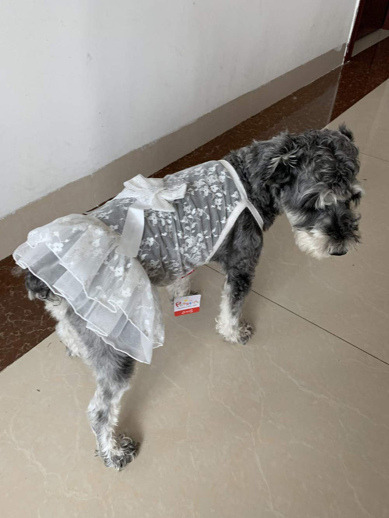 [Australia] - BBEART Pet Skirt,Dog Lace Princess Skirt Wedding Dresses, Lovely Bow Breathable Pet Clohtes for Cats Puppy Small Dogs L: Back Length 30cm White 